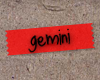 gemini