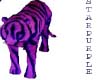 PURPLE TIGER