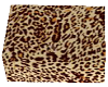 box st sp leopard