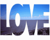LOVE BLUE