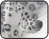 SnowLeopard-TailV3