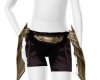 Mail Armor Skirt