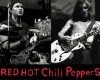 POSTER RED HOT CHILLI P.