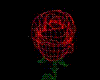 One Rose animated