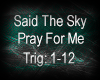 Pray For Me - STK