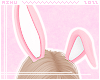 m. Bunny Ears Pinku