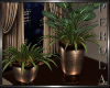 2 Deco  Pots & Plants