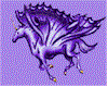 Purple Pegasis