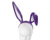 710 Ears Bunny purple