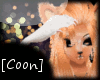 [Coon]Orng Cream Fur
