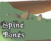 Spine Bones