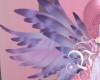 VI Twilight  Angel Wings
