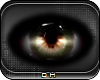 [CH] Nic'Fi Eyes - UNI