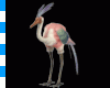 Lovely Flamingos
