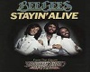 bee gees stay1-stay13