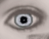 [L] Eyes Pearl Gray