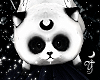 Elh Cat ☽