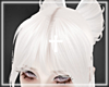 ♰ Angel