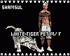 White Tiger Pet M/F