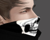 Skull Mask