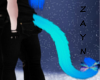 .:Z:. ToxSho cat tail