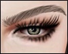 Eyebrows - Brown MH