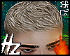 hz blonde Hair