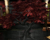 tree black red