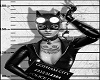 Wanted CatWoman Picture