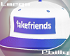 $TM$ Fake Friends SnapB