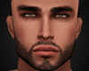 Sexy Realistic Male Head