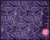 Photo Background