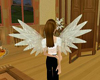 Glass Angel Wings