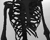 Skeleton Body [male]