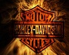 Harley Davidson Fire Bik