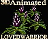 5 Animated Bromeliads 10