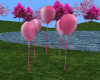 Pink Floating balloons