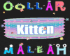 Kitten | Pastel