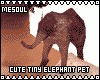Cute Tiny Elephant Pet