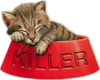 sticker cat