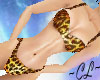 Bikini Leopard Print