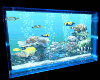 aquarium animated
