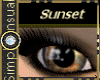 SS EWindows~Sunset