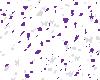 (LHW) Purple confetti
