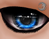 Sapphire King Eyes