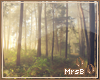 M:: Forest Poster