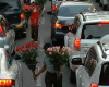 PETALS FOR SALE