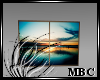 MBC|Window Mesh