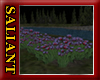 [SD] FLOWER BED TULIPS
