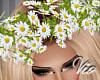 [V] Spring Daisy Crown